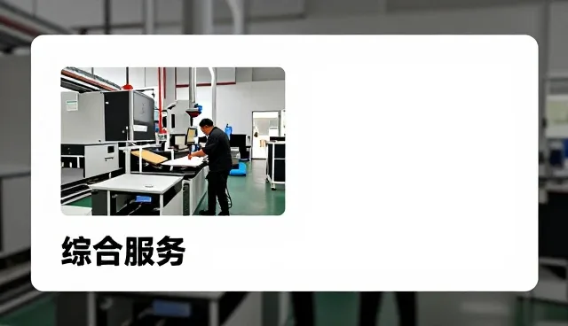 有机蔬菜加工品